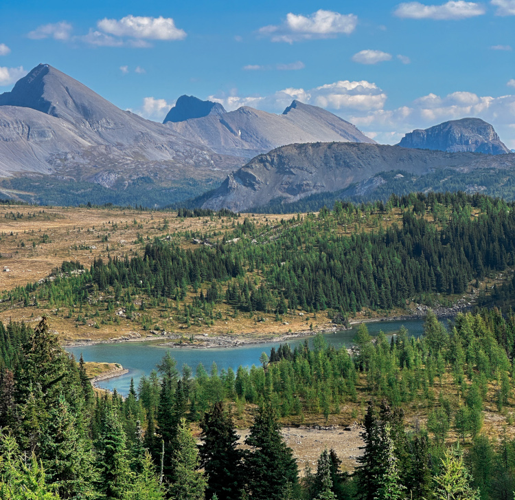 Sunshine meadows hike viewpoint