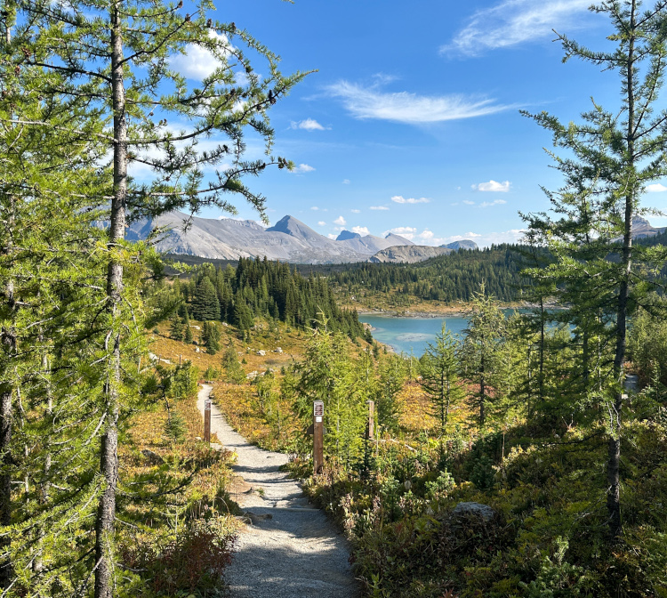 Sunshine meadows hike viewpoint