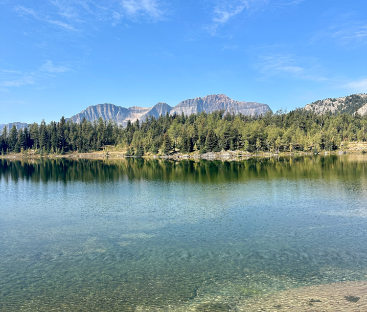 sunshine meadows hike