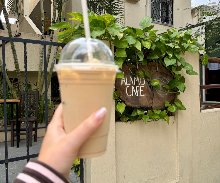 alamo cafe, best coffee in playa del carmen