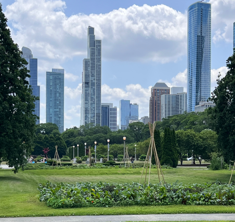 gardens chicago's lakefront